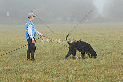 Tornado von Elberfeld