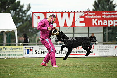 Tornado von Elberfeld