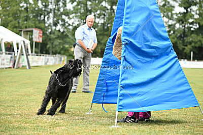 Tornado von Elberfeld