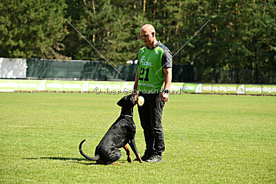Tribun vom Hellerwald