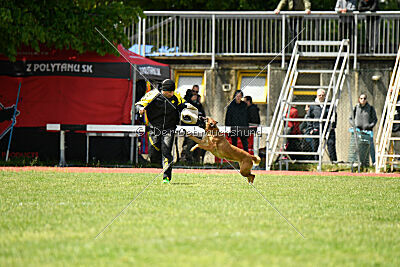 Tyrannens Galna Grymma