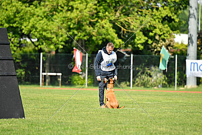 Tyrannens Galna Grymma