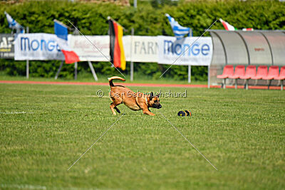 Tyrannens Galna Grymma