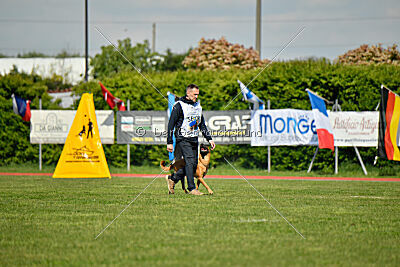 Tyrannens Galna Grymma