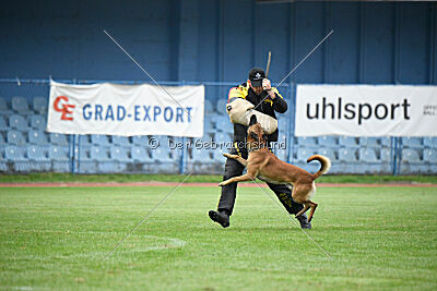 Ugo van de Berlex-Hoeve