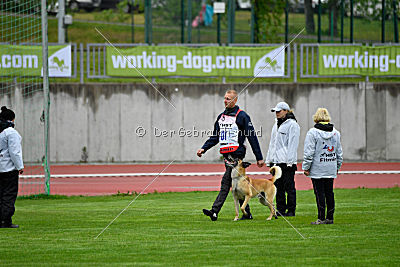 Ukrainer iz Gratsiano