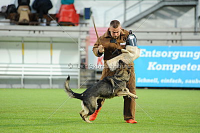 Ulfi v. Richting Weg