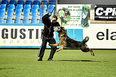 Ullmann vom Fluchtweg