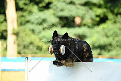 Ullmann vom Fluchtweg