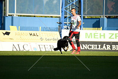 Ulrich von der Winterschal