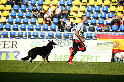 Ulrich von der Winterschal