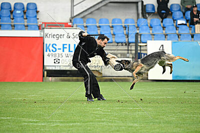 Ultra vom bösen Bruderblick