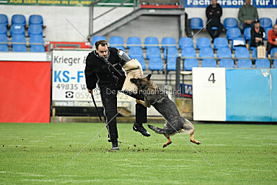 Ultra vom bösen Bruderblick