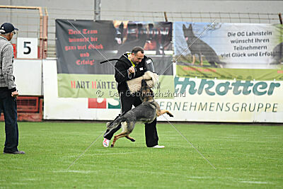 Ultra vom bösen Bruderblick