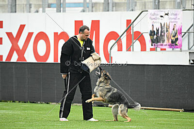 Ultra vom bösen Bruderblick