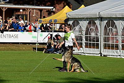 Ultra vom bösen Bruderblick