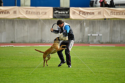 Uma Anubis the Second
