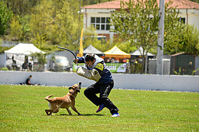 Uma Anubis the Second