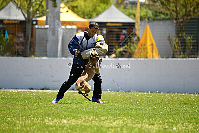 Uma Anubis the Second