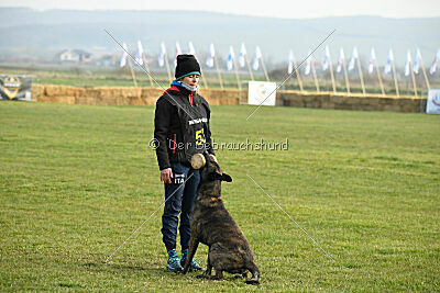 United Dutch Gumball