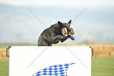 United Dutch Gumball