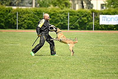 Unja vom Kistenstein
