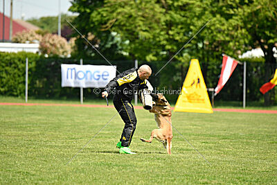 Unja vom Kistenstein