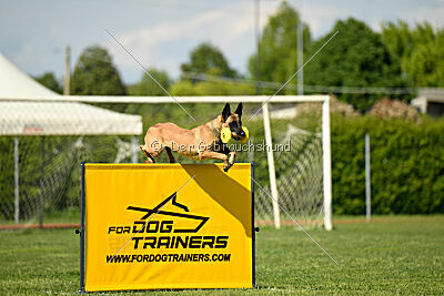 Unja vom Kistenstein