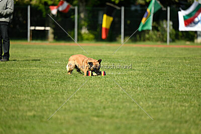 Unja vom Kistenstein