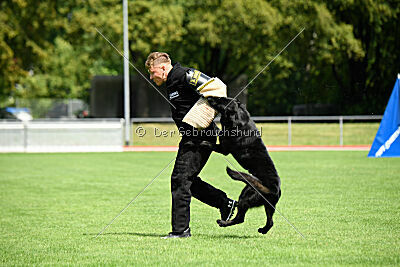 Ups von der Teufelskehle