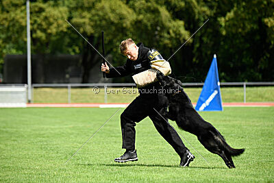 Ups von der Teufelskehle