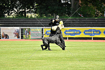 Uranos Uras Goldest Danubius