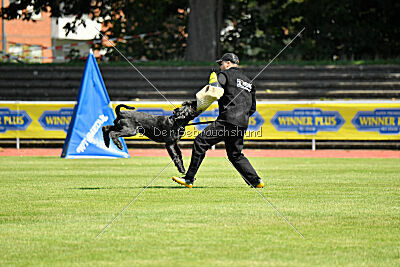 Uranos Uras Goldest Danubius