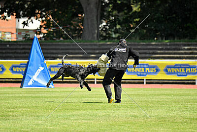 Uranos Uras Goldest Danubius