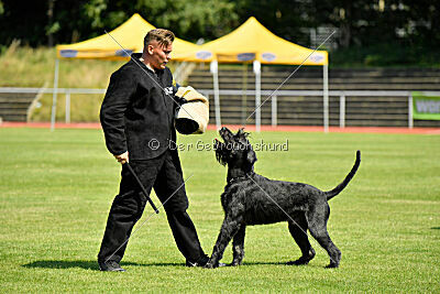 Uranos Uras Goldest Danubius