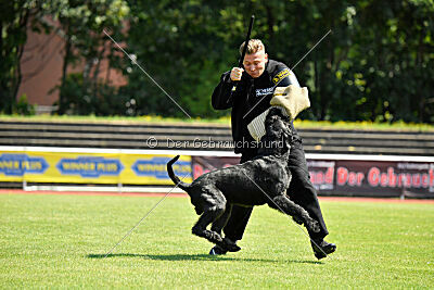 Uranos Uras Goldest Danubius