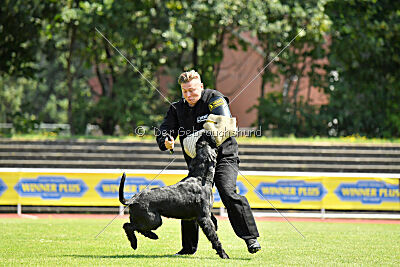 Uranos Uras Goldest Danubius