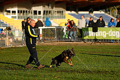 Ustin von der Germanenquelle