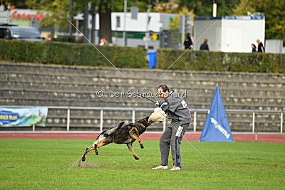 Ustin von der Germanenquelle