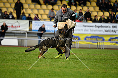 Ustin von der Germanenquelle