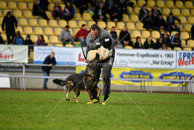 Ustin von der Germanenquelle