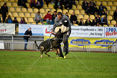 Ustin von der Germanenquelle