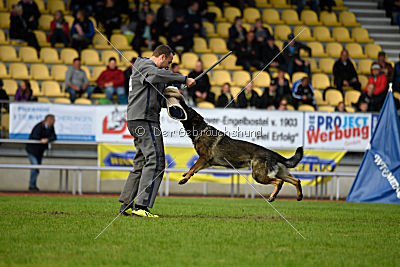 Ustin von der Germanenquelle