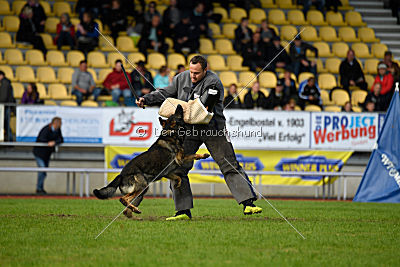 Ustin von der Germanenquelle