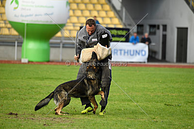 Ustin von der Germanenquelle