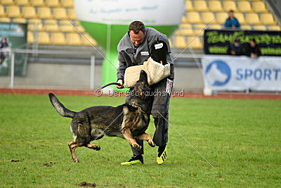 Ustin von der Germanenquelle