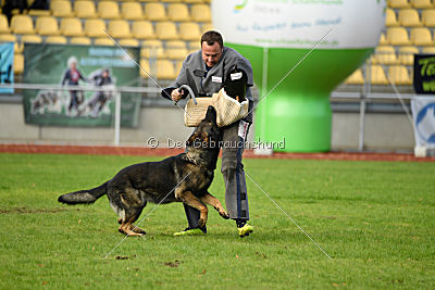 Ustin von der Germanenquelle