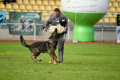 Ustin von der Germanenquelle