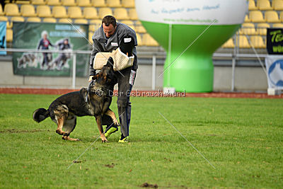 Ustin von der Germanenquelle