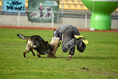 Ustin von der Germanenquelle